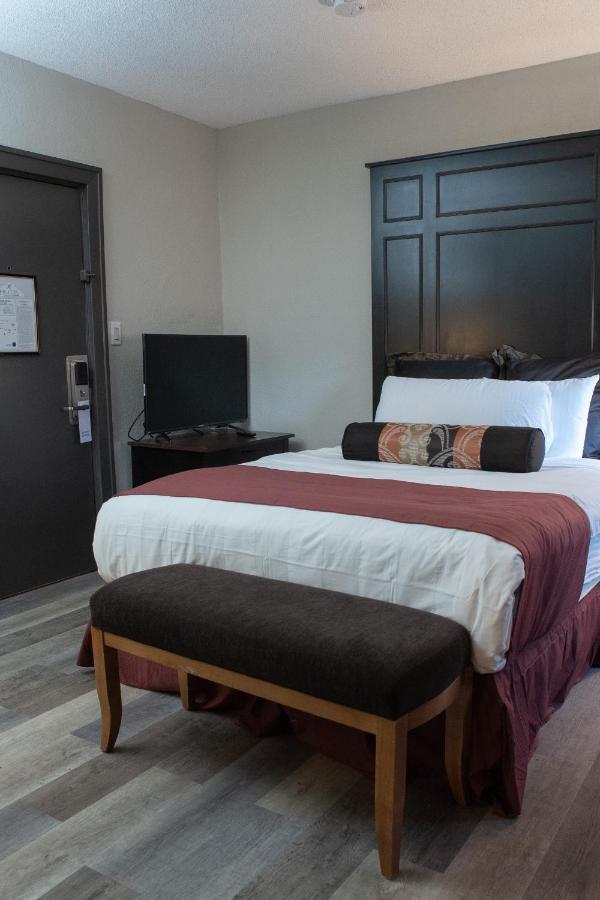 Hotel Chataura 迪尔伯恩 外观 照片